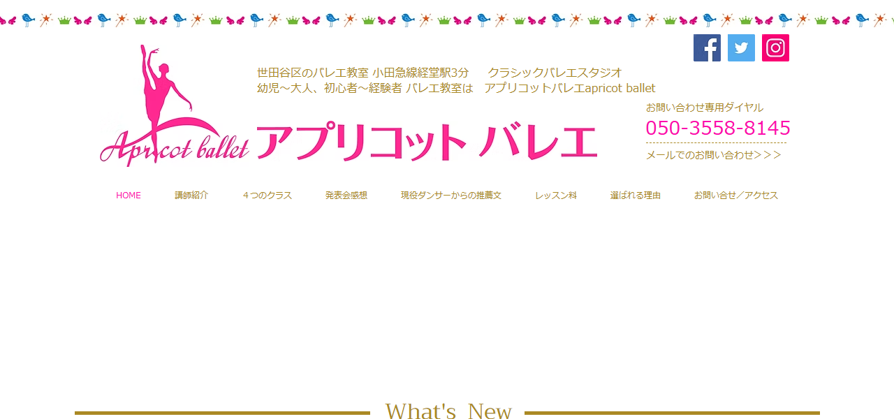 アプリコットバレエ｜経堂の公式サイト